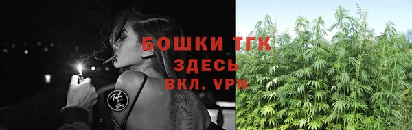гашик Бронницы