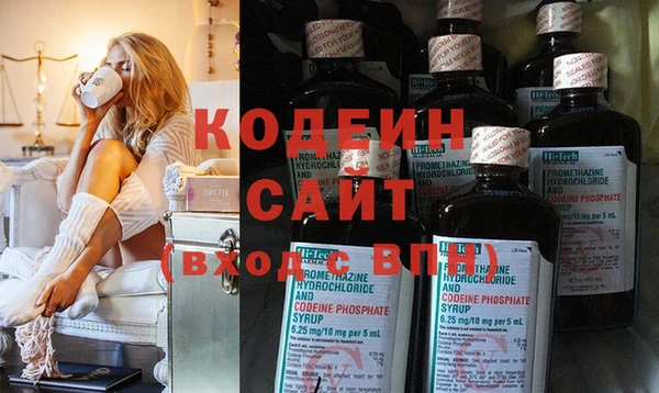 амф Бородино