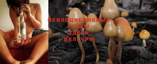 гашик Бронницы
