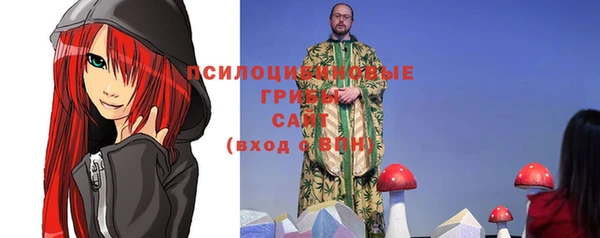 амф Бородино