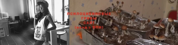 гашик Бронницы