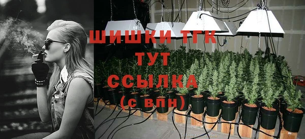 эйфоретик Бугульма