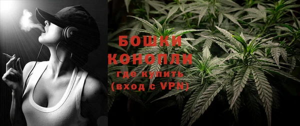 гашик Бронницы