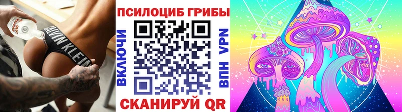 Галлюциногенные грибы мухоморы Черноголовка